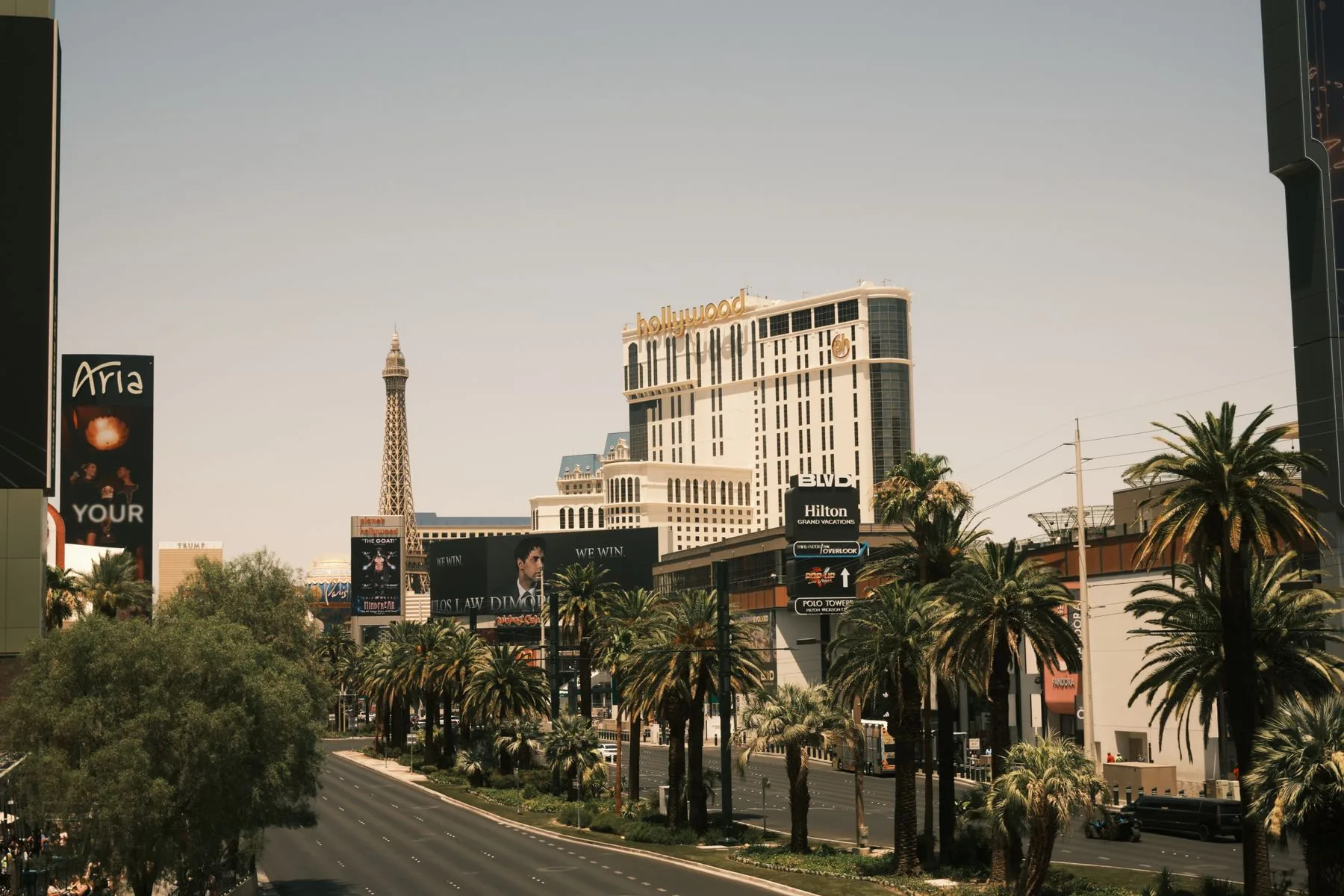Business Funding in Nevada: Options and How to Get Funded Fast 2 Las Vegas Boulevard lined with palm trees in daylight