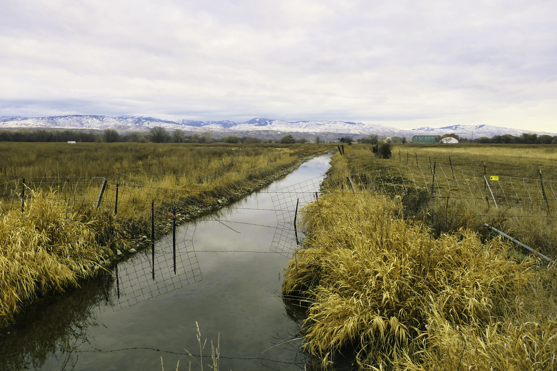 5 Razones por las que los Dueños de Negocios en Idaho Buscan Financiamiento en 2026 2 Pasto verde y seco junto a un río en Idaho