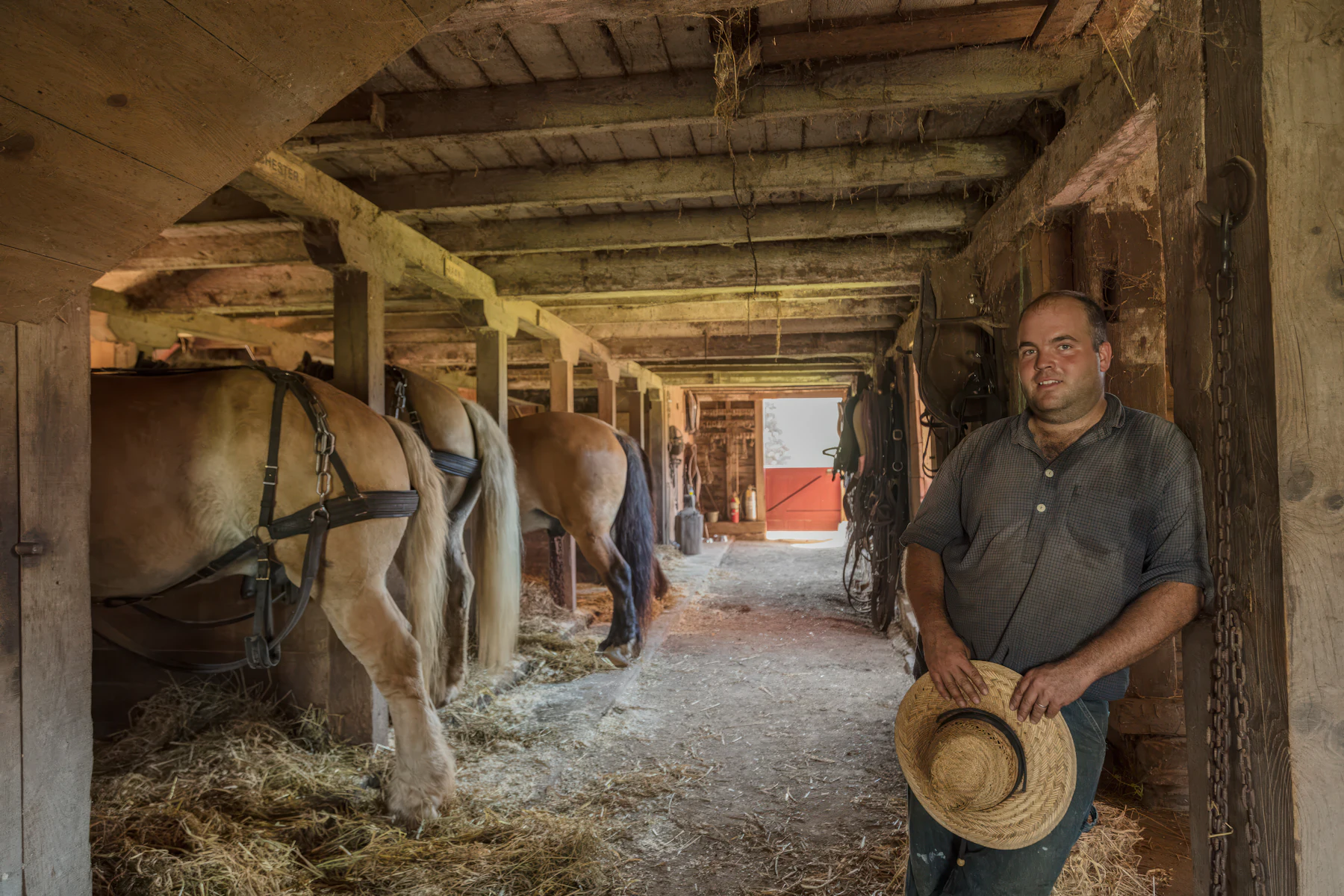 5 Razones por las que los Dueños de Negocios en Kentucky Buscan Financiamiento en 2026 2 Hombre de pie en un establo con caballos de tiro