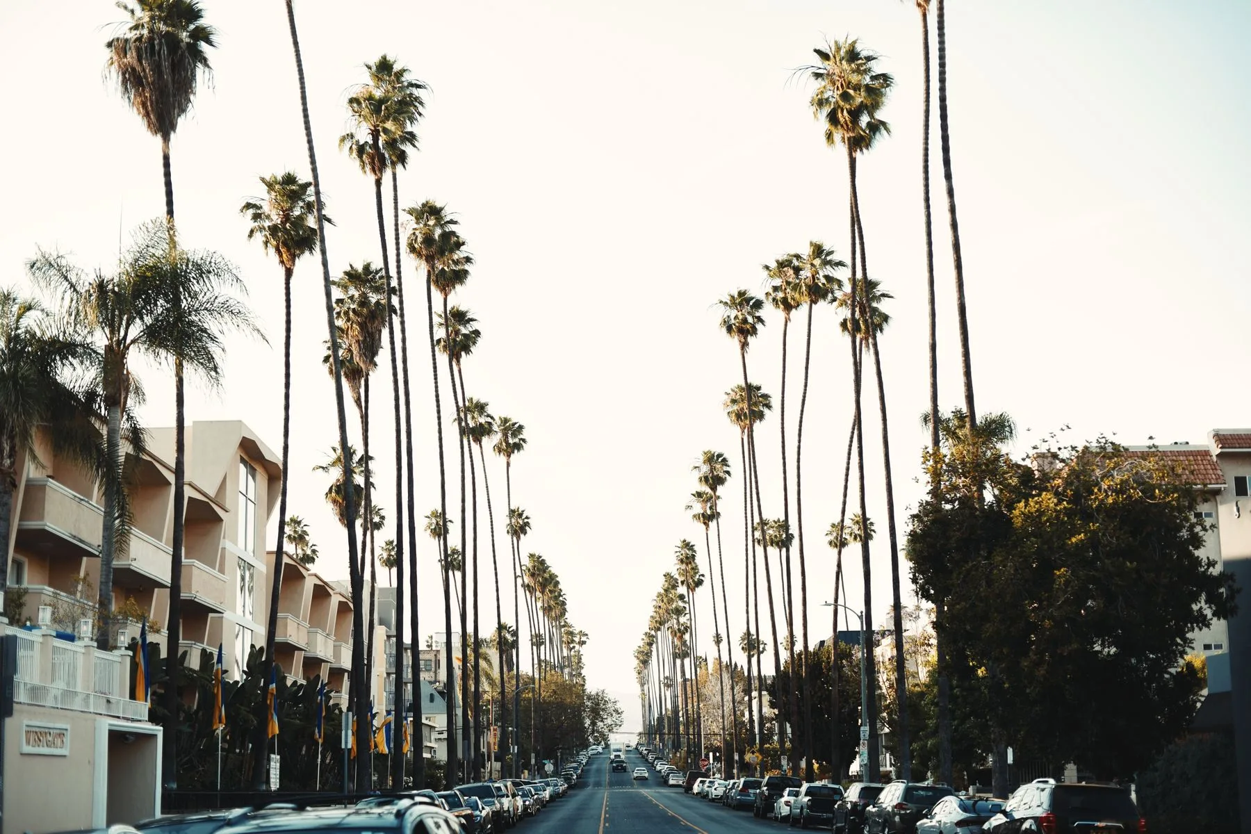 Fondos para Negocios en California: Opciones y Requisitos (2026) 2 Calle de Los Ángeles bordeada de palmeras