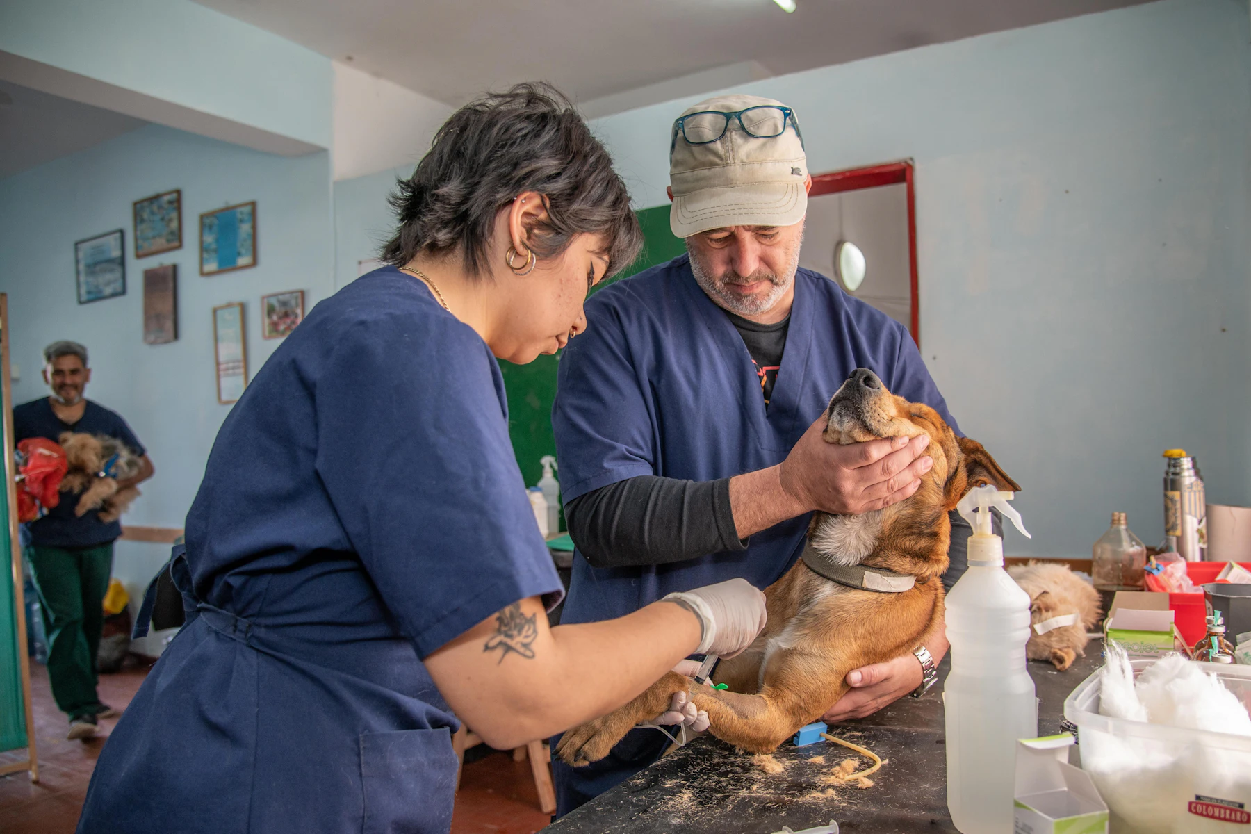 Veterinary Practice Loans: Equipment, Buy-Ins and Expansion Financing 2 Two veterinary staff examining a small dog